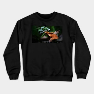 Mushrooms and White Catmint Flowers Crewneck Sweatshirt